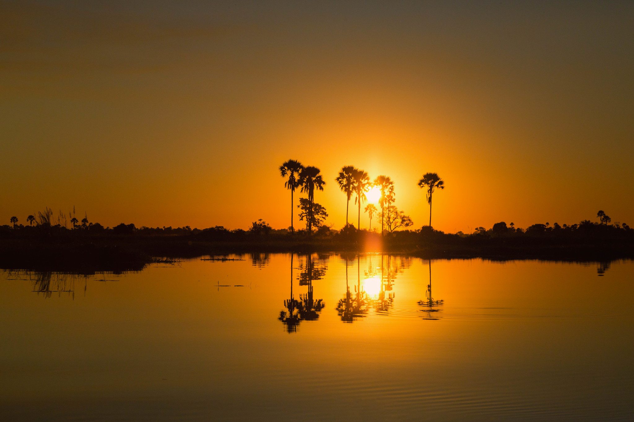 Okavango Delta Sunset