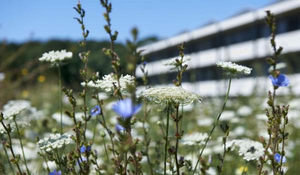 iucn natural gardern