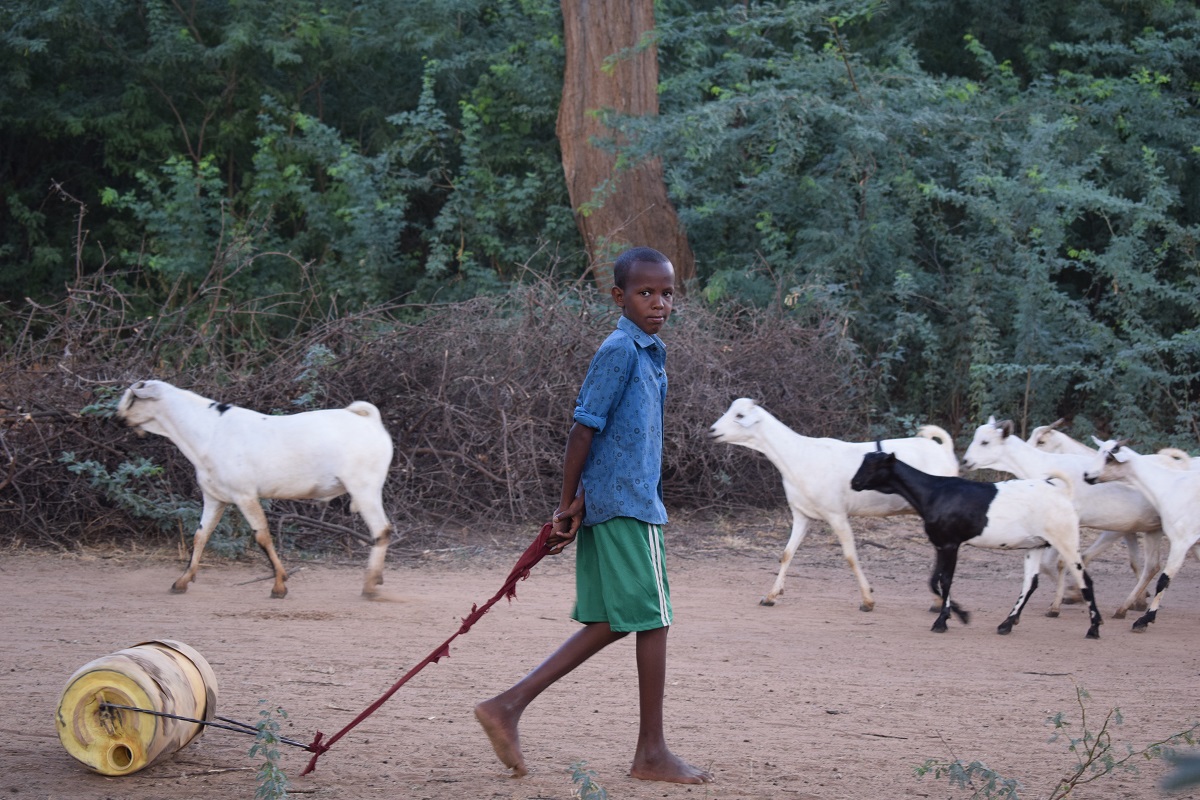 A boy drags a jerry can of water in Kenya's drylands