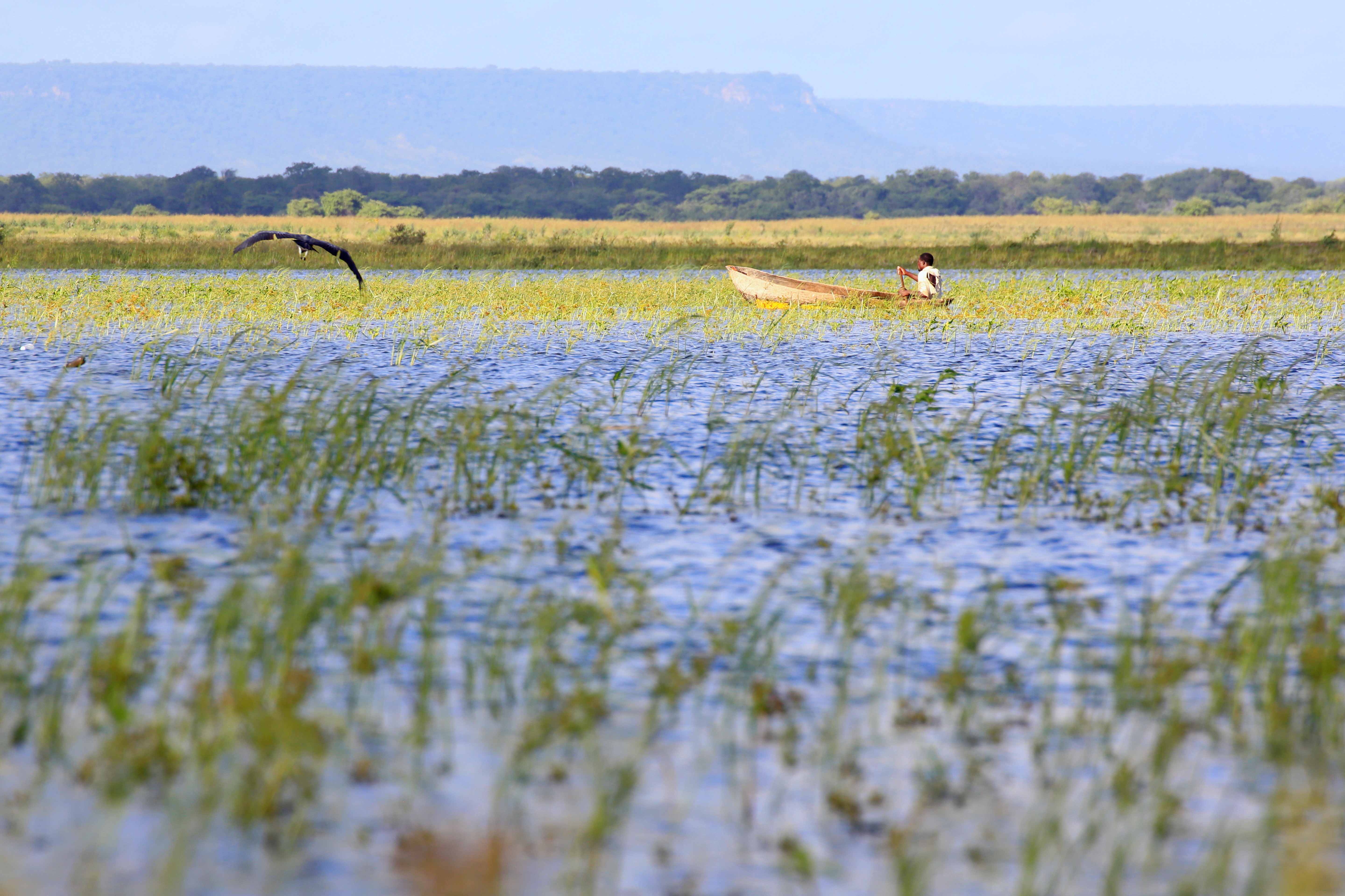 Canoeing in the zambezi - sustain africa