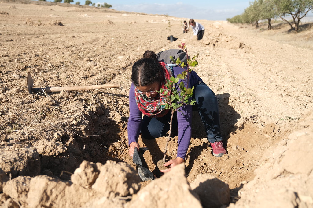 Corridor Caroubier project (Tunisia)