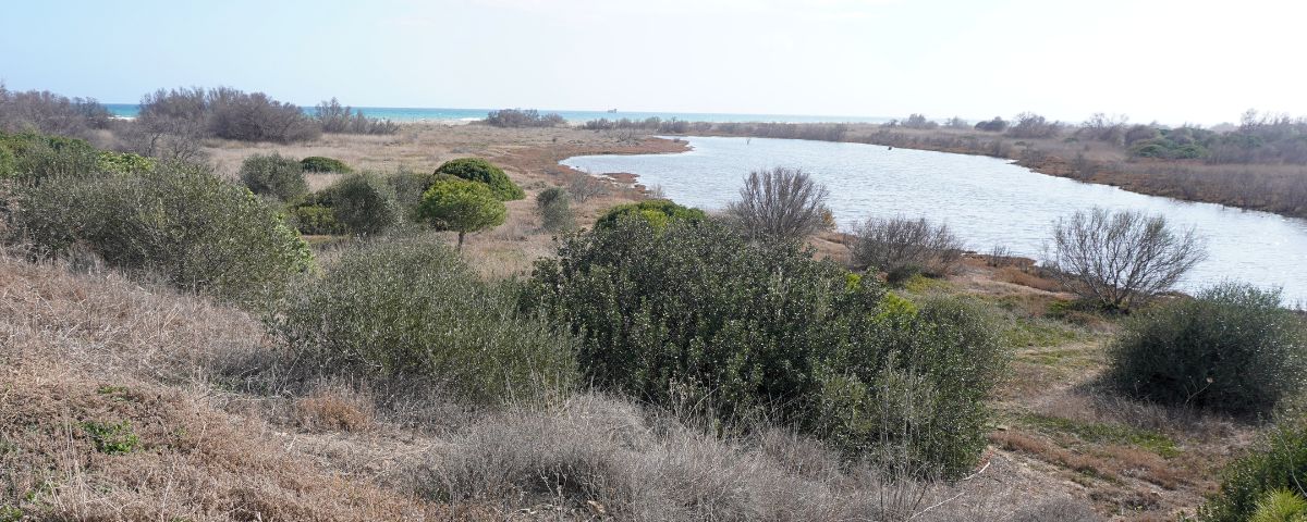desembocadura-guadalhorce malaga