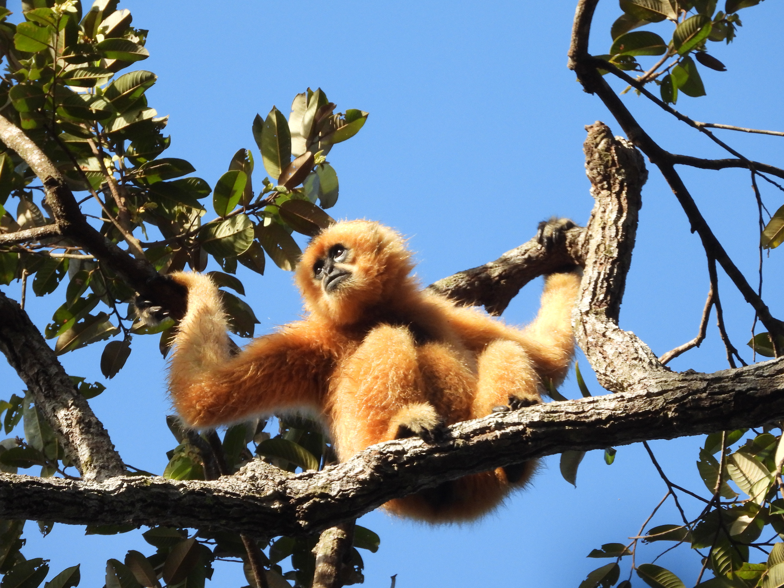 DSCN8903 Photo by Sophea Chea_resized