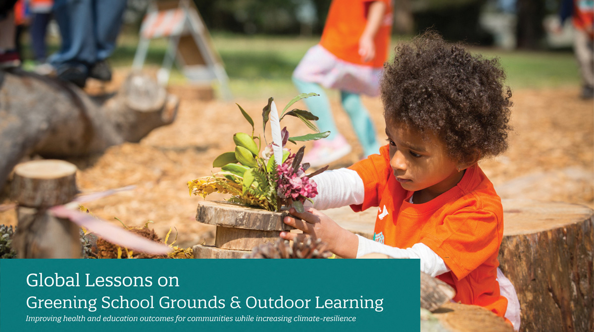 Greening School Grounds