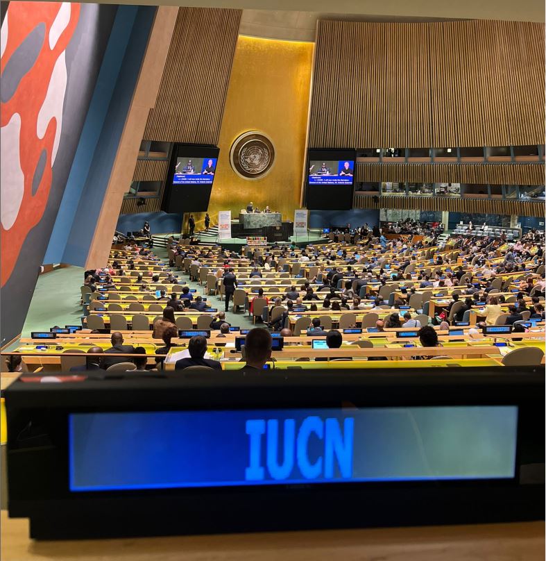 IUCN plate at UN HQ in New York
