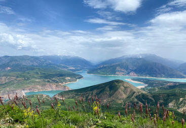 A call for the Nature-bases Solutions trainers #ADAPT