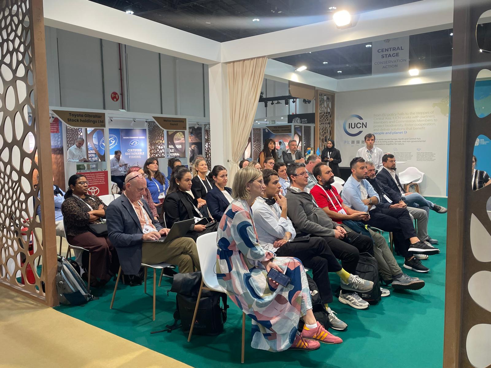 Free-flowing rivers session