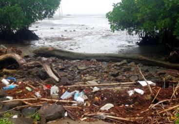 Plastics - mitigate their environmental, health and human rights impacting