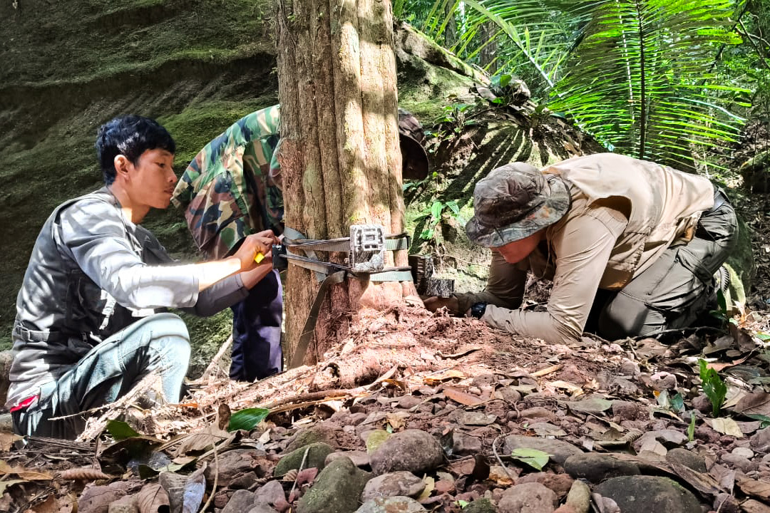 Instruction to install amera traps and audiomoths in Phou Louang Phou Khao Nok National Protection Forest & Hin Nam No National Park