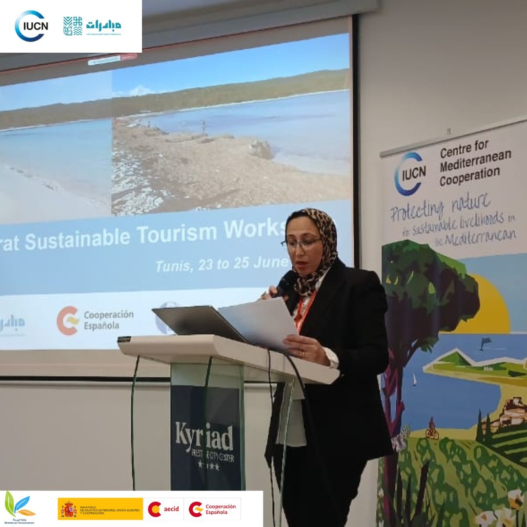 Ecotourism workshop - June 2025