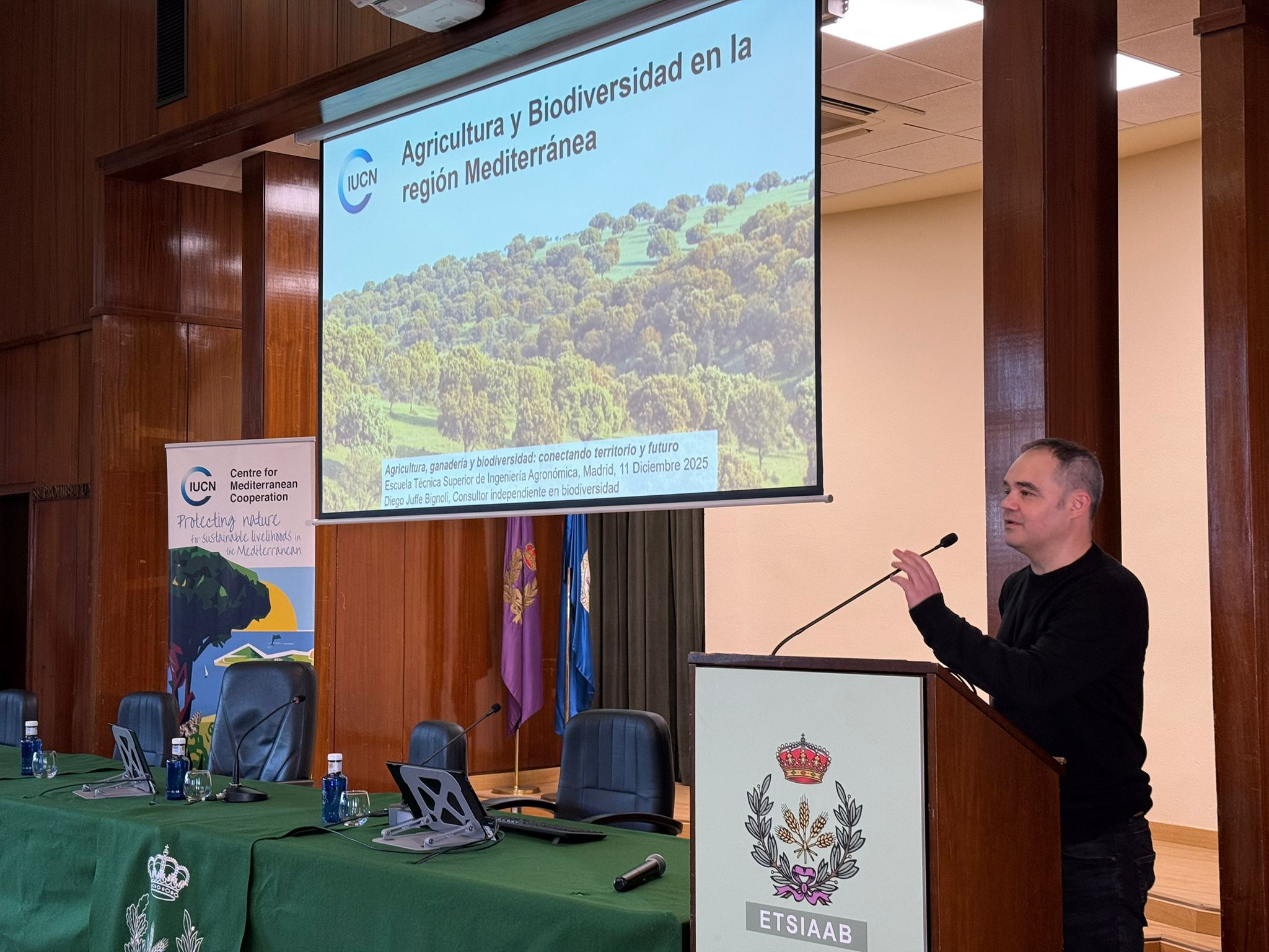 Diego Juffe, Madrid 2025