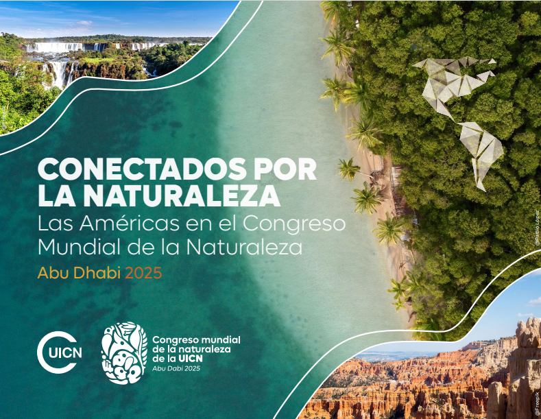 Agenda Pabellón de las Américas