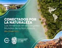 Agenda Pabellón de las Américas