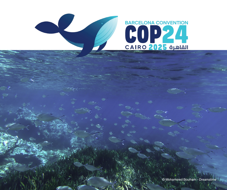 COP24 Barcelona Convention