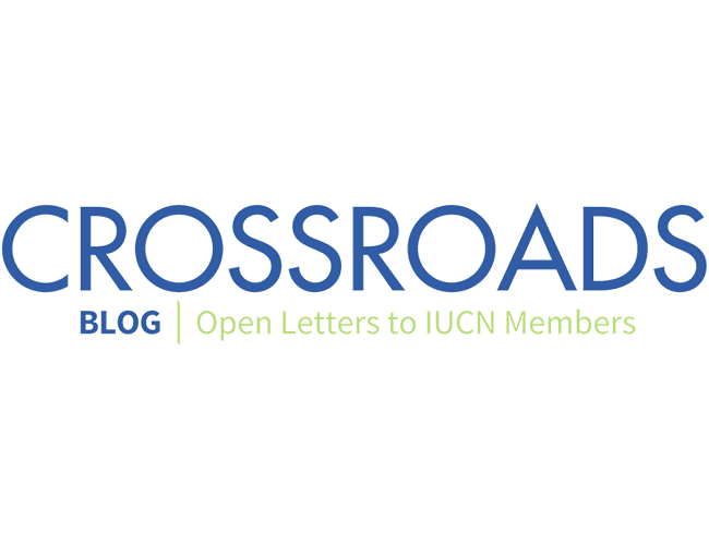 Crossroads blog 