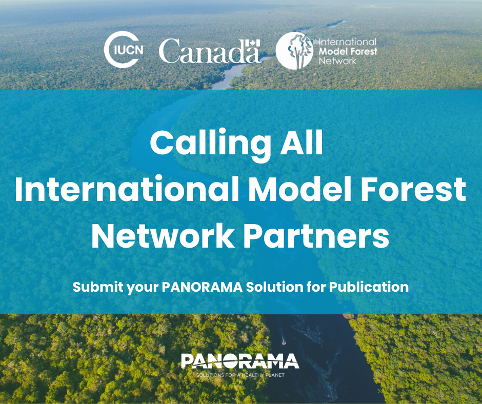 IMFN PANORAMA Solutions