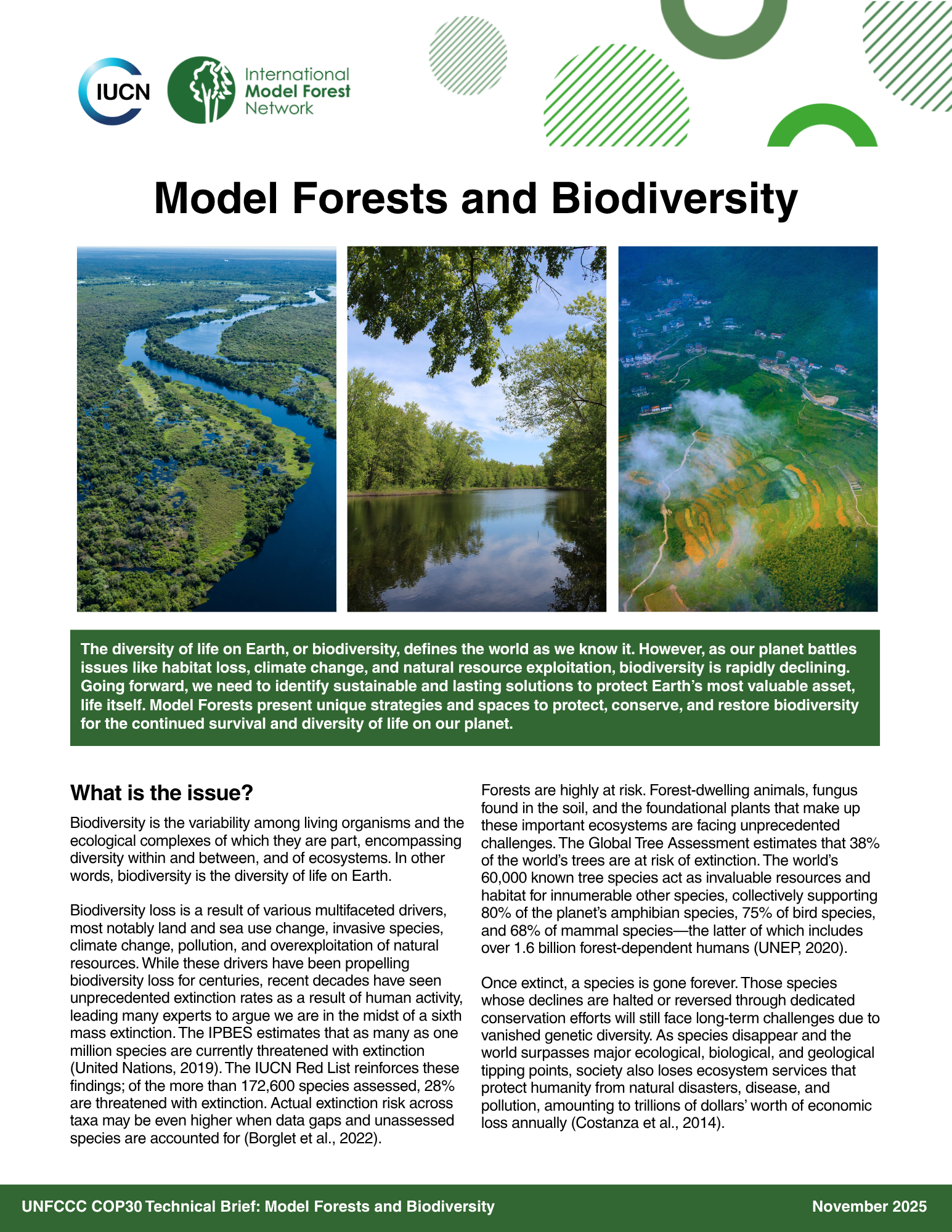 Model forests and biodiversity 2