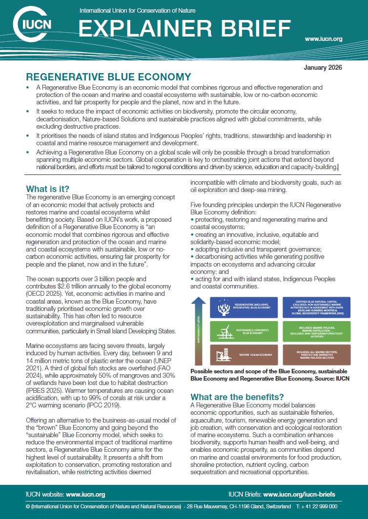 Regenerative Blue Economy Explainer Brief