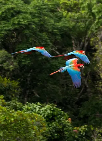 biodiversity_theme_img