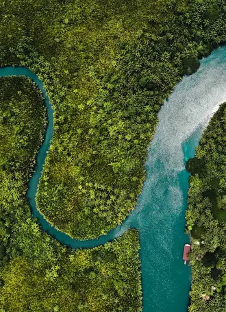 business_finance_theme_img