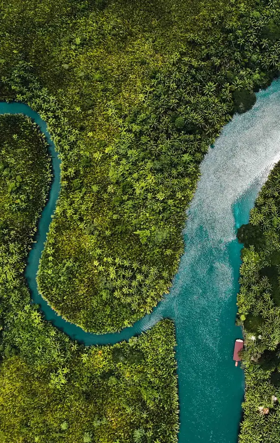 business_finance_theme_img