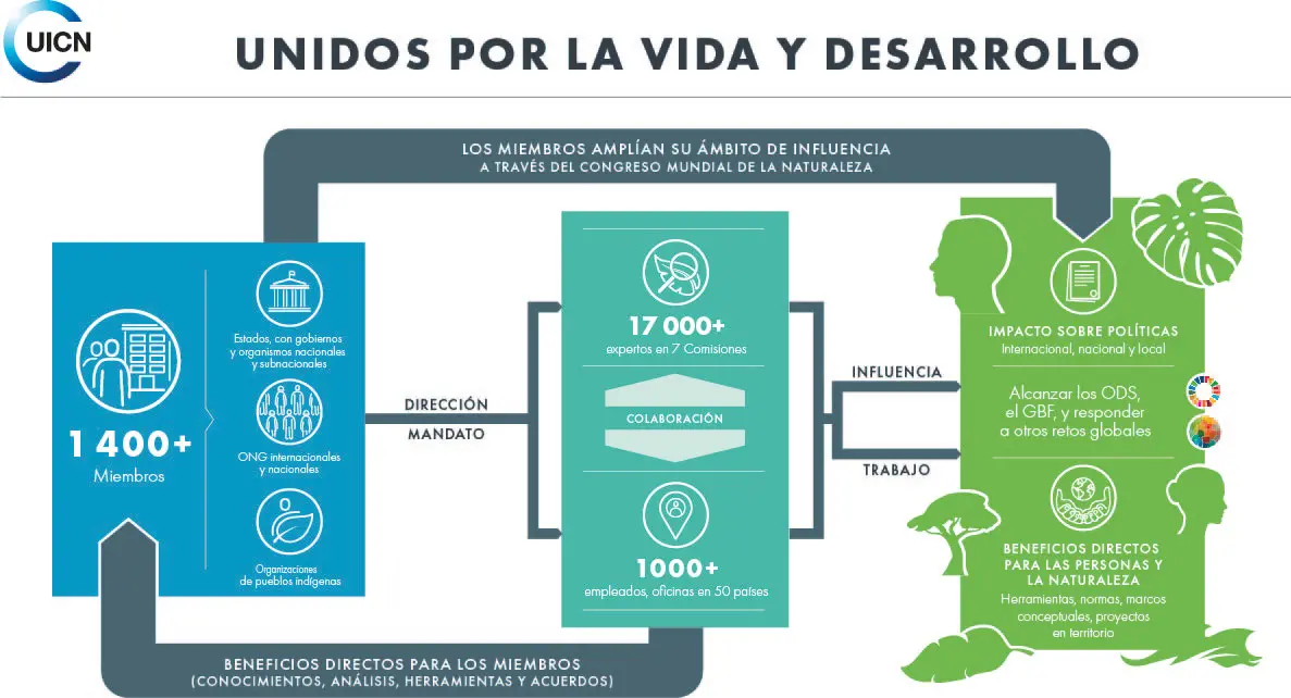 IUCN_Infographic_SPANISH-Dec_2-highres-print_resized